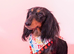 Kc long haired dachshund