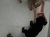 Puppies
