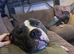 Kali 4 years old