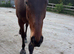 ROR Eligible/ mother daughter share/ Event prospect
