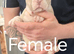 American Bully Pocket