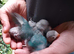 Love bird babies