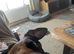 Doberman pup