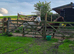 Dartmoor Chestnut Filly 12.2hh. 2.5yrs.
