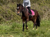 14.2H - 4Yo - Reg Sec D - Bay - Mare