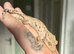 Various Crested Geckos