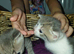 beautiful babies for sale