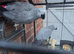Proven grey pair