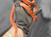 Blood red pied sided corn snake
