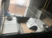 Guinea Cage