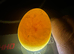 Hatching Eggs