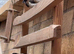 Cute bengalese finches
