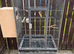 Tall cage with Breeding Box