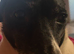 Lovely dog needs rehoming asap!