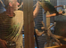 Miligold Macaw
