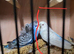 Dunfallow split bf breeding pair
