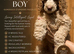 Standard poodle puppies kc registered