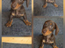 READY NOW Kc registered mini dachshund pups