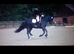 Schooling/ competition/ sales livery