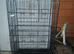 Large bird cage