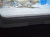 Painted quail x 6