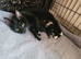 Lovely brother and sister