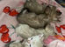 Snow bengal baby&rsquo;s