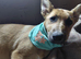 SALMA – The Gentle Little Princess with the Kindest Heart