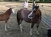 Brood mare