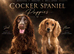 Cocker Spaniel Puppies