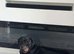 rottweiler stud