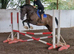 Classy Weight carrier allrounder/hunter