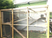 Catio panels 6ftx3ft