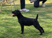 Patterdale