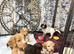 Cocker spaniel puppies