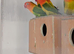 Opline lovebirds for sale