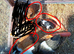 Female guinea pigs