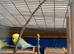 4 budgies for sale
