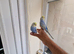 Super Tamed baby budgies for sale
