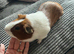 New home for cocoa and peanut