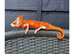 CHAMELEONS