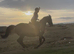 16hh allrounder , 9 yr old