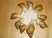 ALBINO GIANT AFRICAN LAND SNAILS