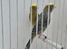BEAUTIFUL PROVEN PAIR LIZARD CANARIES