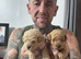 Maltipoo pups stunning colours