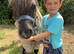Bob - A Super Shetland