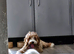 8mth cockapoo