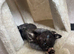 Little girl looking for loving home