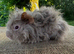Pair of Lunkarya Boars