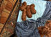 Pritypuppes